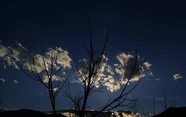 Ϧ���������