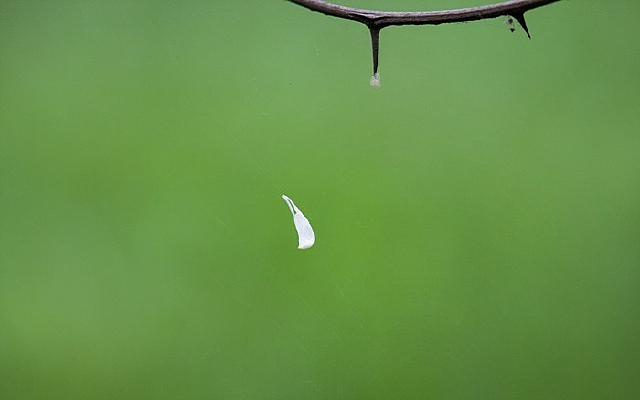 һƬ����Ʈ��