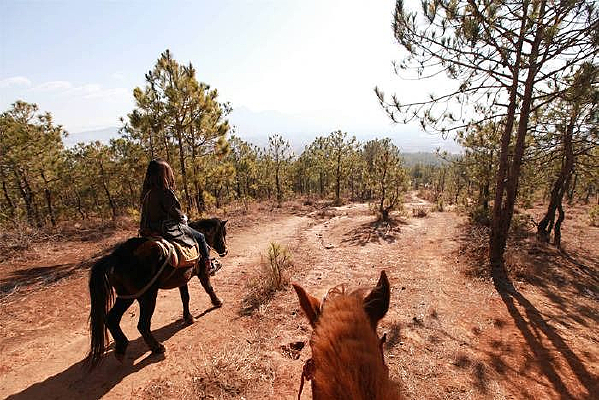 ���������к�