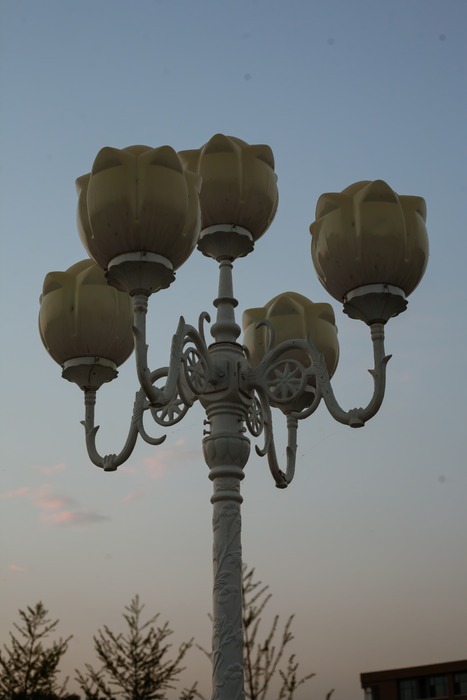 玉兰花形状的路灯