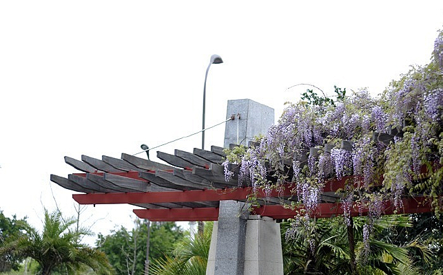 �����ϵĻ�