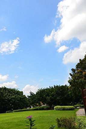 ������ľ