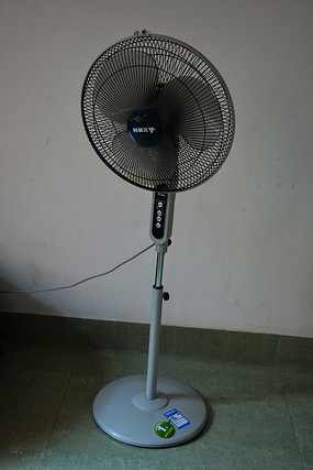 ���ĵ����