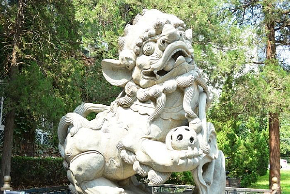 �ſڵ�ʯʨ��