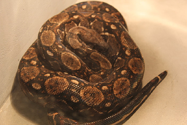 �ܱ�������