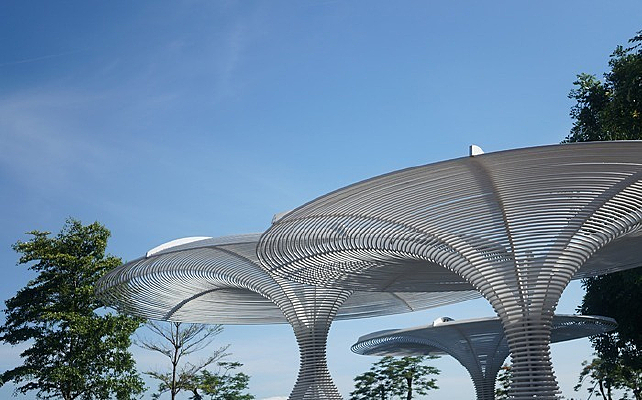 ���ڻ��ֺ���