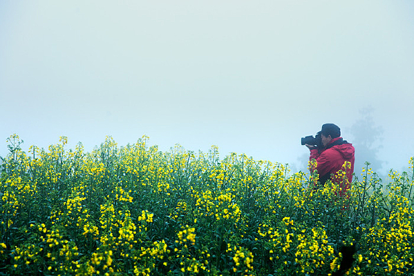 ��ɫ����ɽ