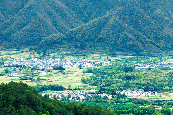 �����Ȼ����