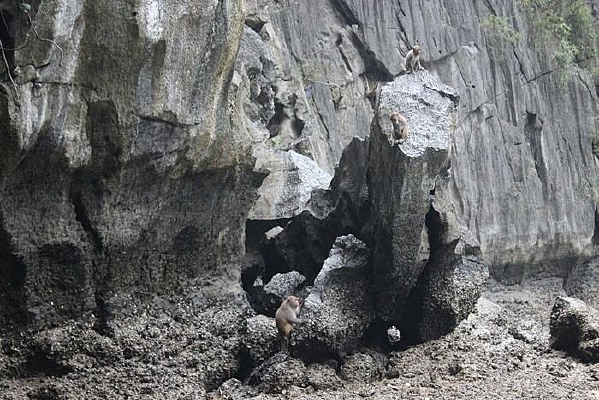 ��ˣ��С��