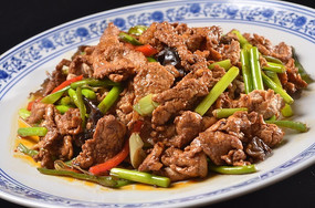 ɽ��������