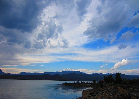 ��������