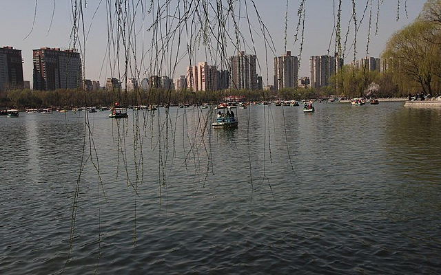 ����������԰