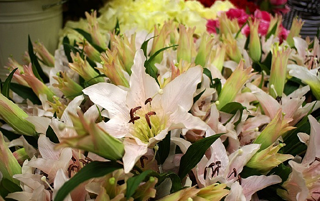 ����װ�λ���