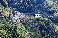 ��ɽ����