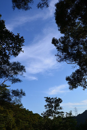 ����һ��