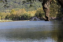 �������Ϻ�