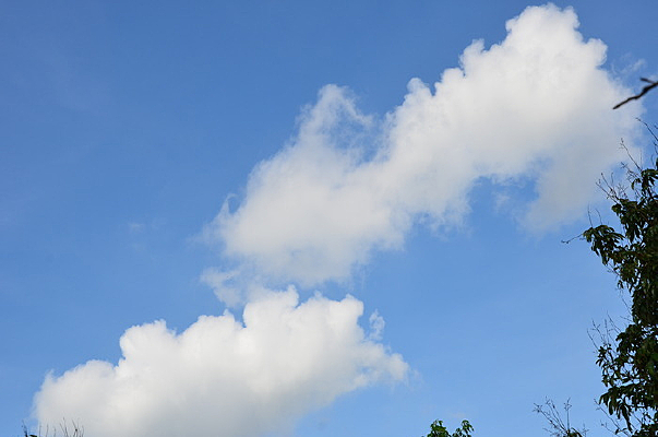 Ʈ�����Ʋ�