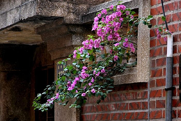 ǽͷ������÷