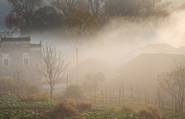 ��Դ��԰����ճ�