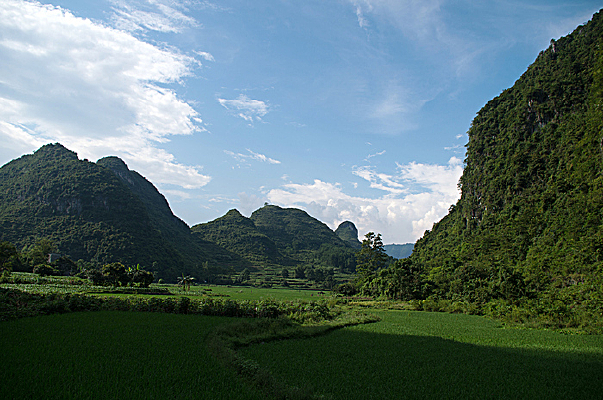 ���̵���