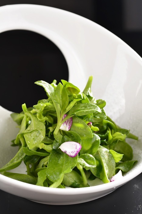 ��������ͼƬ