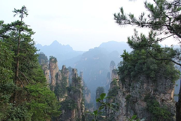 ʯ������