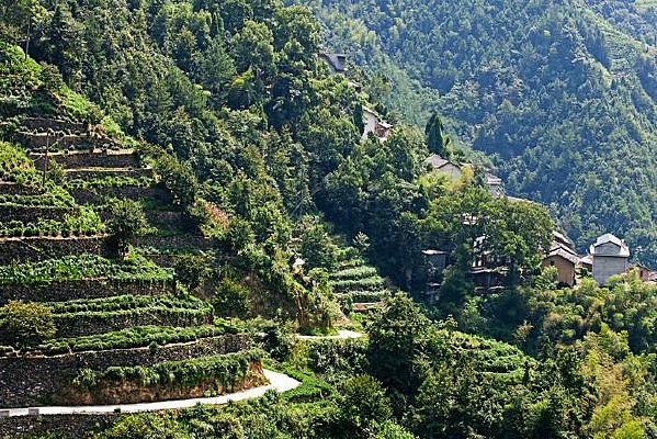 ������ɽ