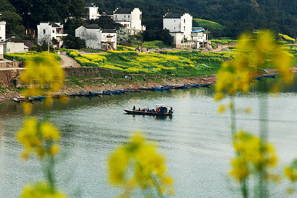 �°���ʮ�ﻭ��