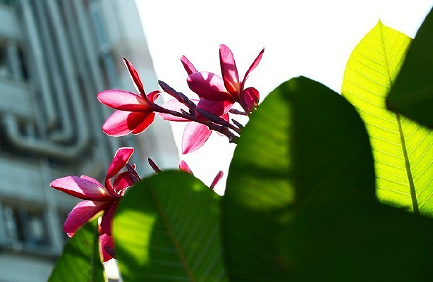 ����ܰ��