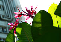 ����ܰ��