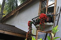 ���ŵ�����