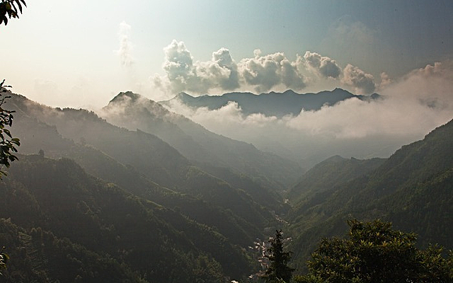 ɽ������