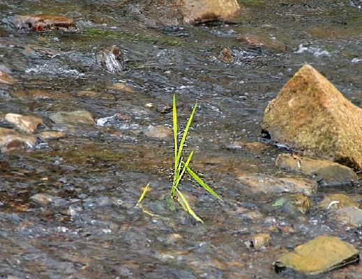 ˮ�������Ļ���