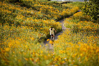 �����е������г���