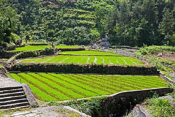 ����ҹ��