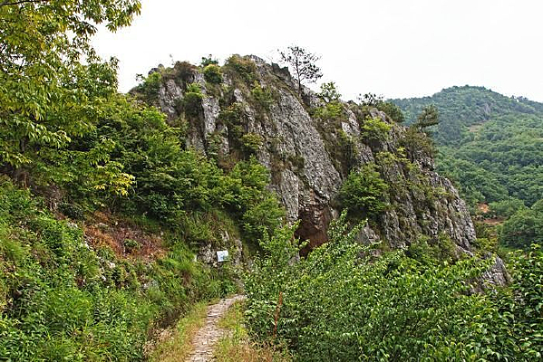 ����ɽͨ����