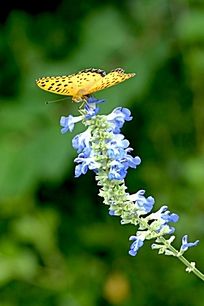 ��POSE�ĺ���