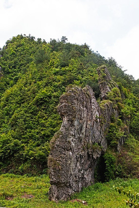 �������