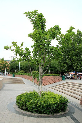 Բ������