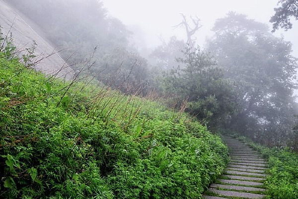 ��ľ����