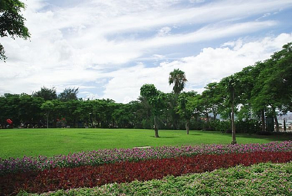 �����̵��ʻ�