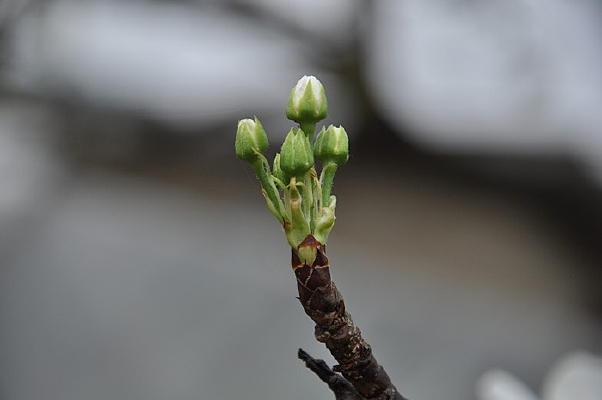 �滨���Ƕ�