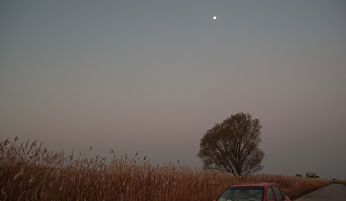 ����ʪ��