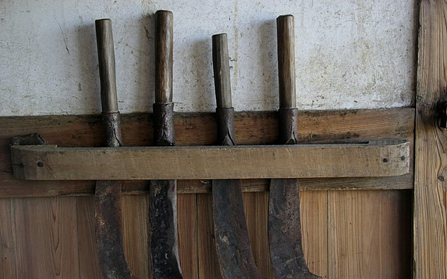 ��ͳũ�ҹ���