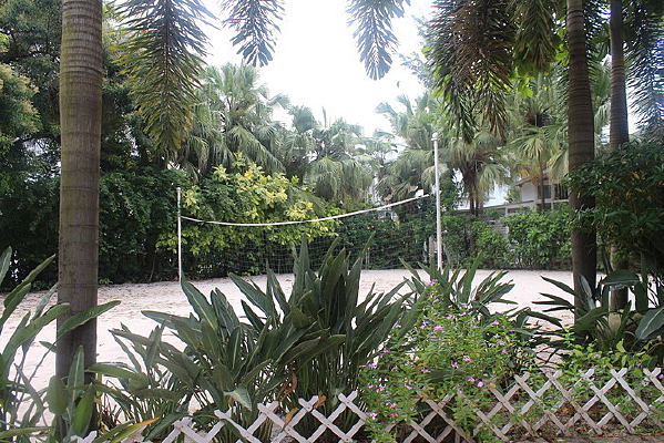 ɳ̲������