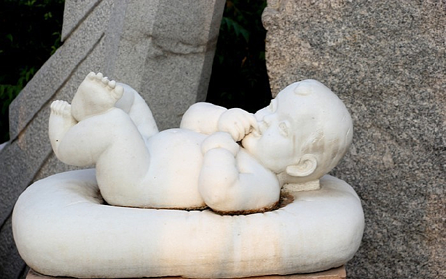 ���ŵı���