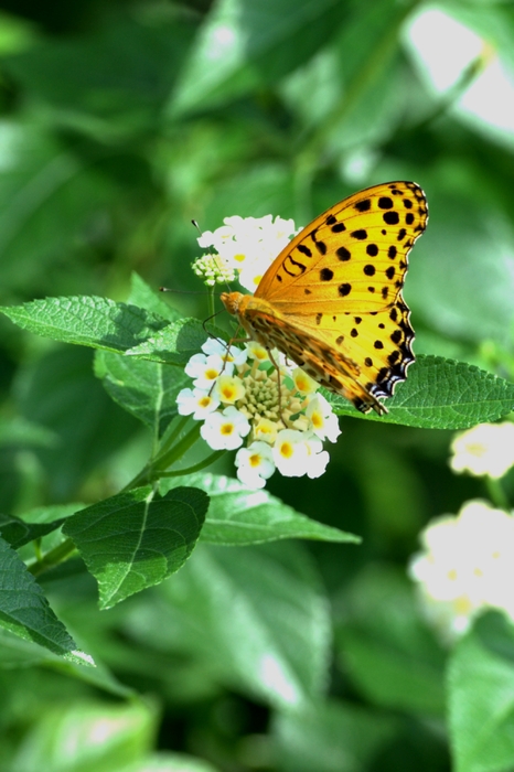 ͤͤ�����ķ��ͼƬ