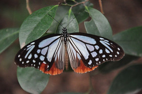 ��Ϣ�Ļ�����