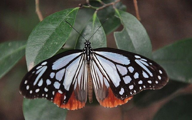 ��Ϣ�ĺ���