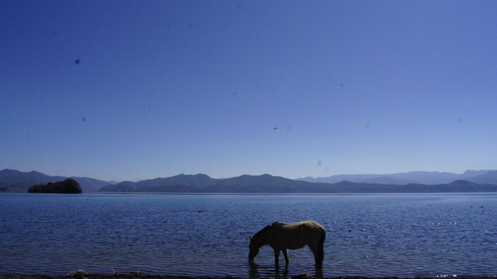 ������ˮ